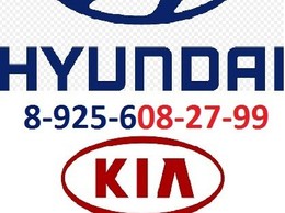 Arena Kia & Hyundai Arena Kia & Hyundai